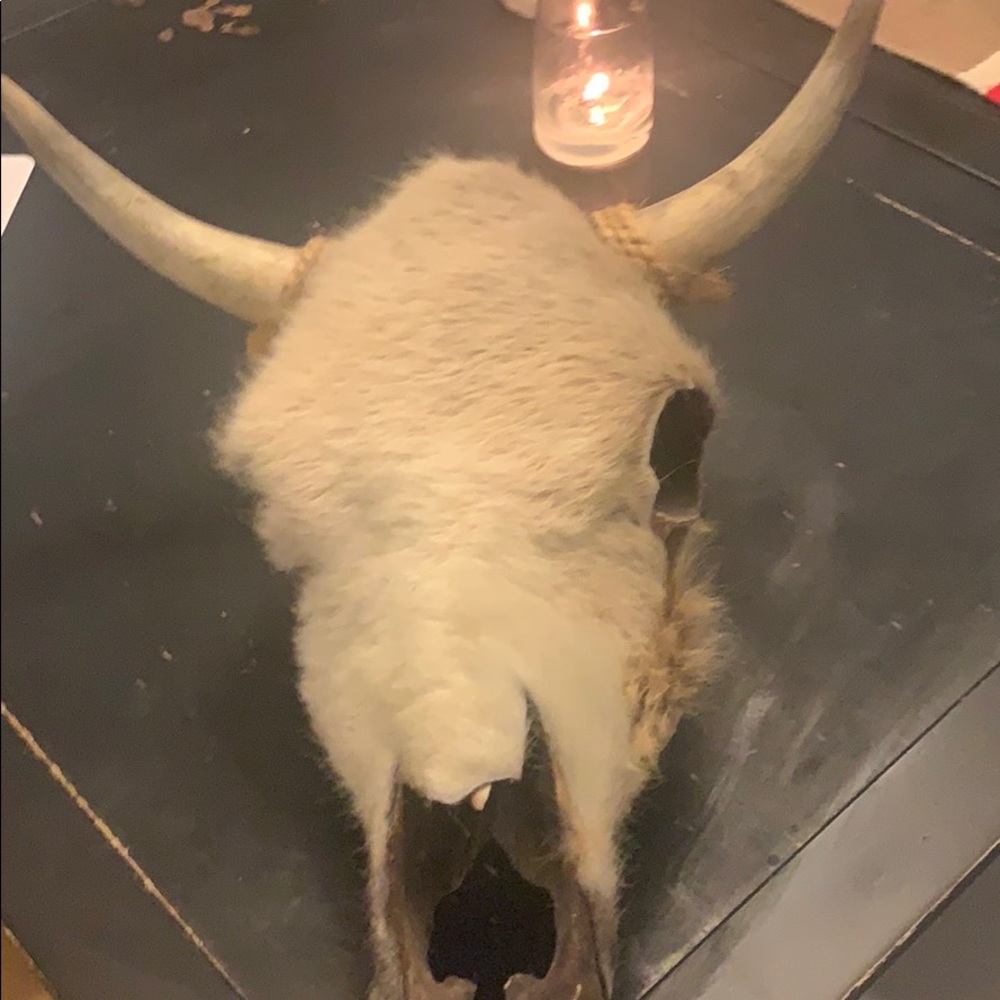 El Paso saddle blanket cow skull with fur